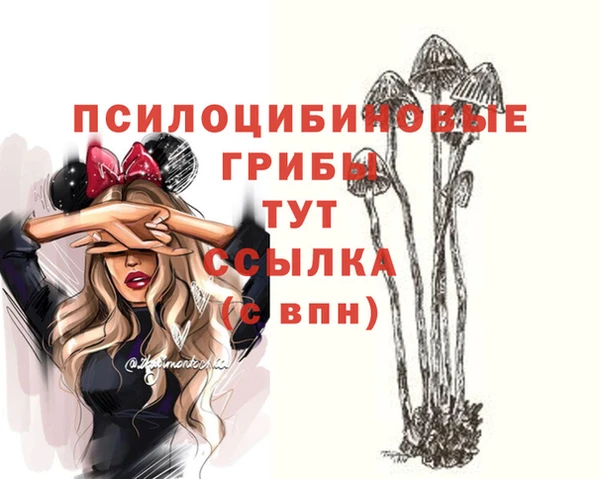 тгк Алексеевка